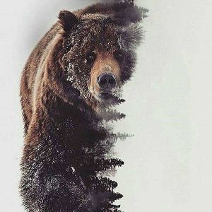 Meet your Posher, Marko